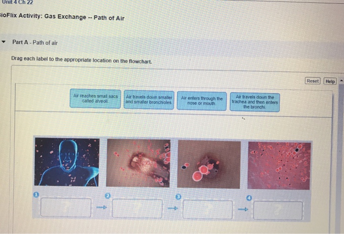 Solved Learning Through Art Countercurrent Exchange In A