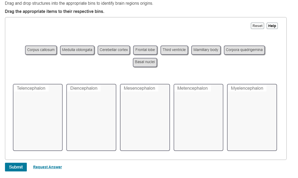 Solved Drag And Drop Structures Into The Appropriate Bins