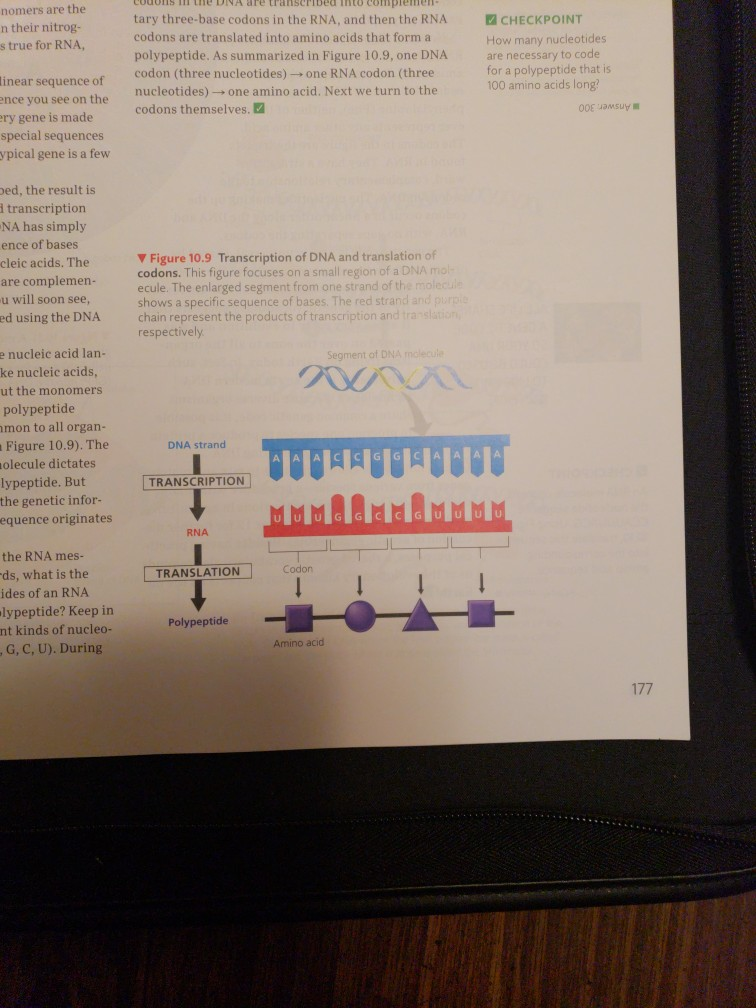 their nitrog s true for rna