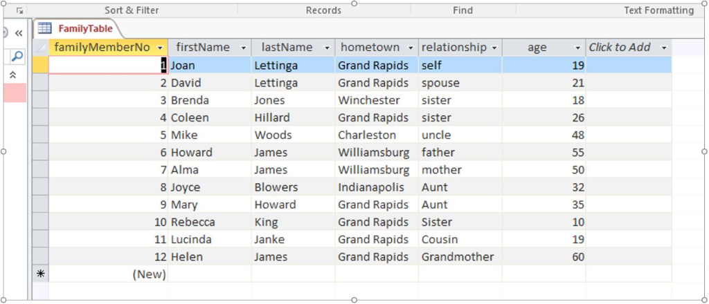 Text Formatting Find Records Sort & Filter FamilyTable familyMemberNo firstName - Click to Add 19 21 18 26 48 lastName hometo