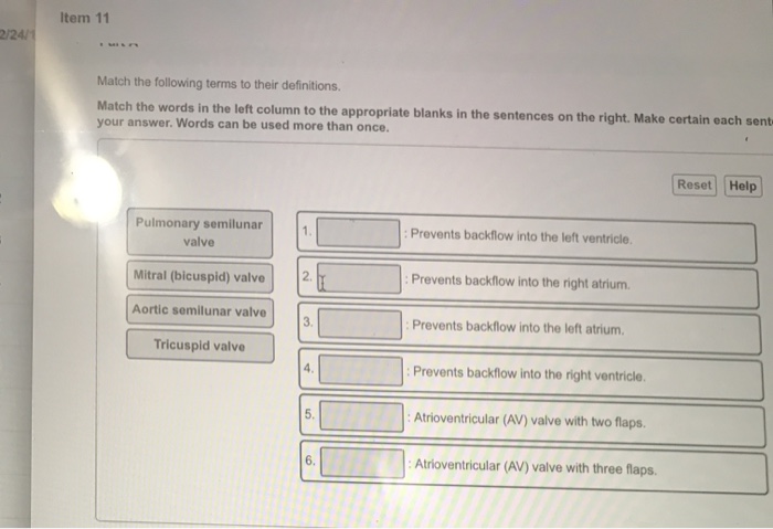 Match the words in bold