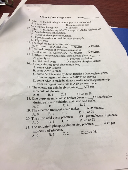 Solved Which Of The Following Is Not A Part Of A Nucleotide? | Chegg.com