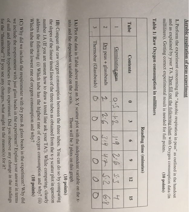 Aerobic Points Chart