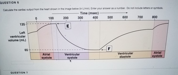 QUESTION 6 Calculate the cardiac output from the heart shown in the image below (in LImin). Enter your answer as a number. Do not include letters or symbols. Time (msedc) 100 200 300 400 500 600 700 800 135F- EN Left ventricular volume (mL) 654- Atrial systole Ventricular systole Ventricular diastole Atrial systole QUESTION 7