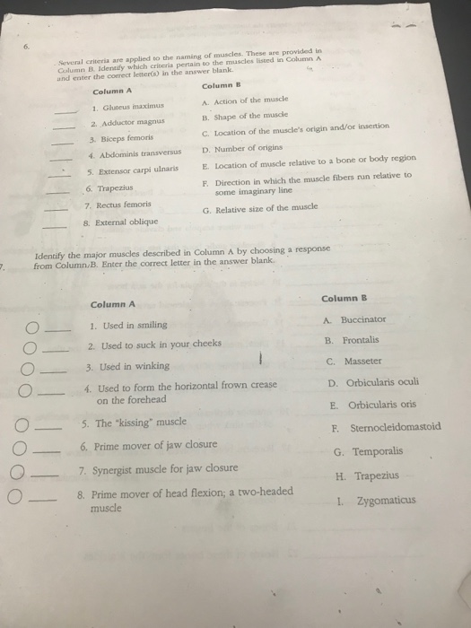 Solved 6 Several Criteria Are Applied To The Naming Of M