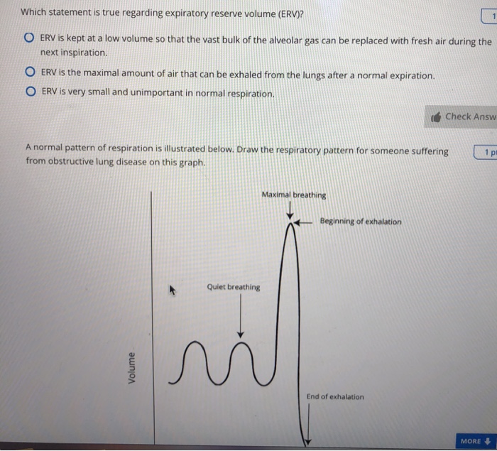 Breathing Patterns Explained 🫁💨 Respirations are not typically counted  accurately in the hospital setting. The joke is that people