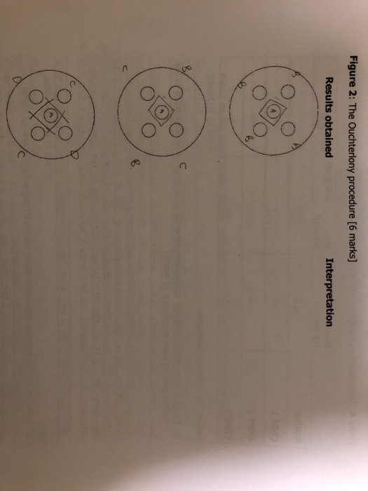 Solved Please Explain The Current Results Obtained If They Chegg Com