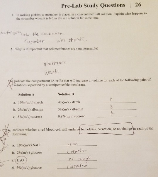 Solved Pre Lab Study Questions 26 1 In Making Pickles Chegg Com