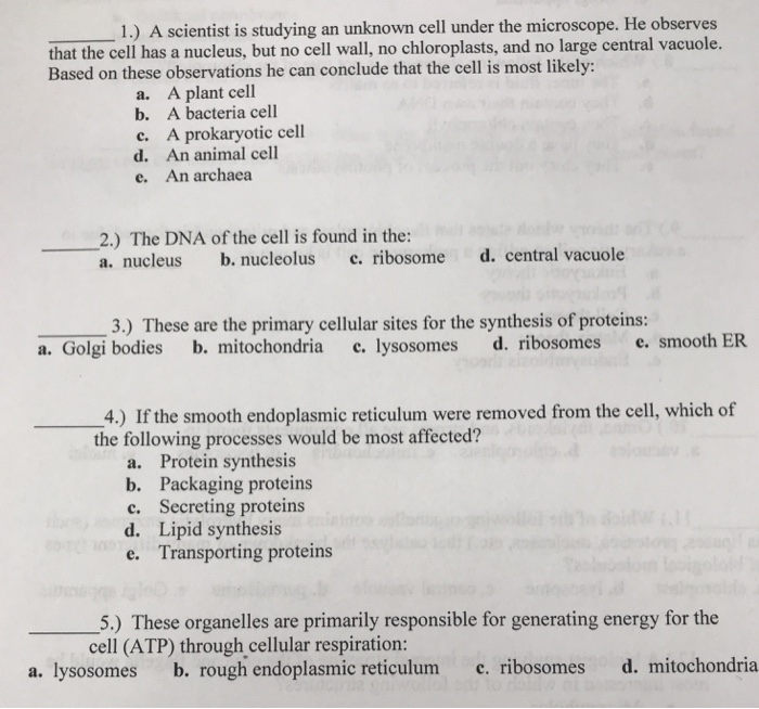 1 A Scientist Is Studying An Unknown Cell Under The Chegg Com