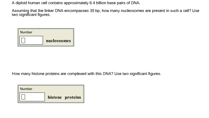 A Diploid Human Cell Contains Approximately 6 4 Billion Base Pairs Of Dna Encomp Es 35 Bp A Diploid Human Cell Contains Approximately 6 4 Billion Base Pairs Of Dna Encomp Es 35 Bp
