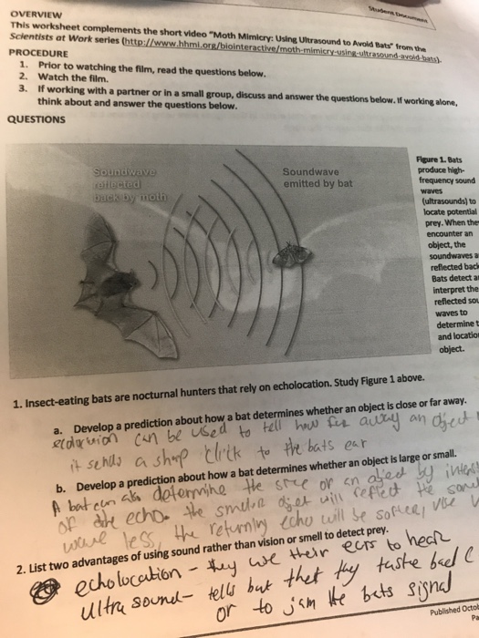 Solved OVERVIEW This worksheet complements the short video | Chegg.com