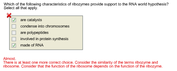 what are ribozymes