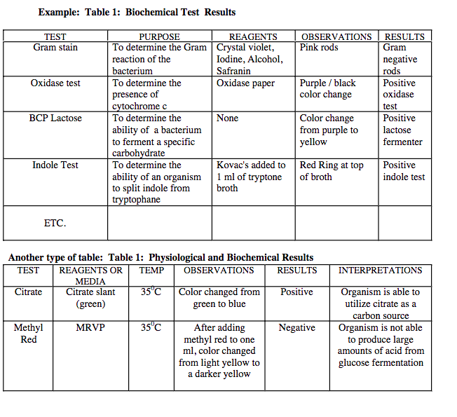 Enterobacteriaceae Biochemical Reactions Chart