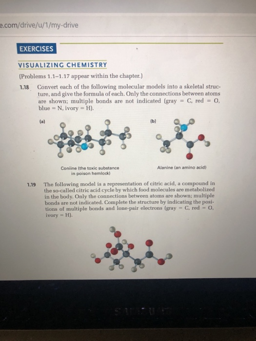 MVLs. (A and B) The structure (A) and molecular modeling (B) of