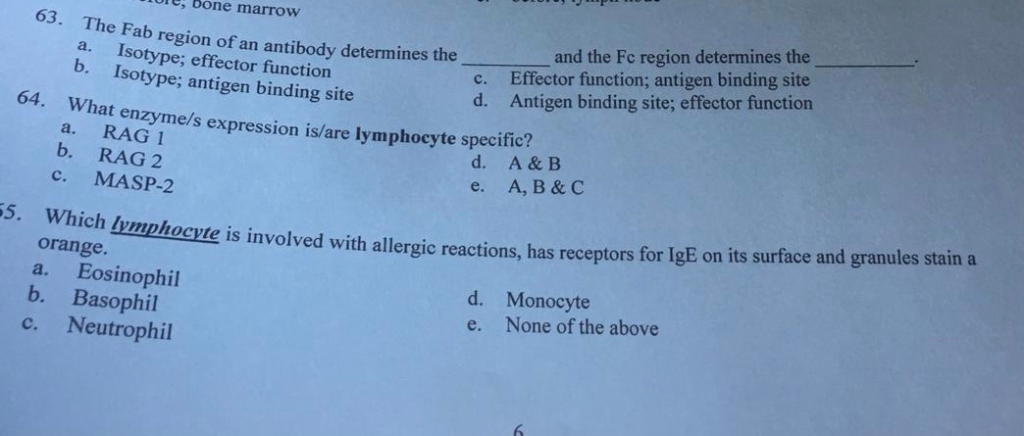 Solved Ule Bone Marrow And The Fc Region Determines The Chegg Com