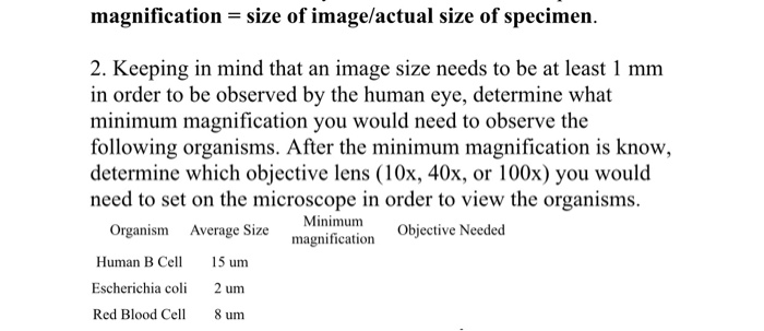 Solved Magnification Size Of Image Actual Size Of Chegg Com