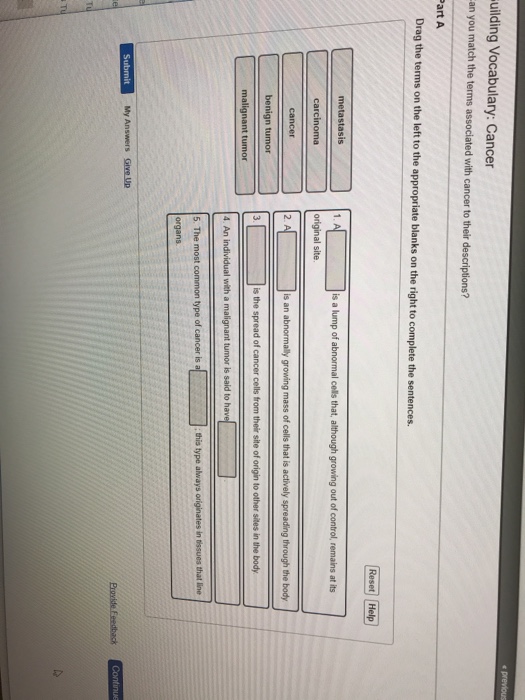 Solved Uilding Vocabulary Cancer An You S Km Od Lhnom R S Chegg Com