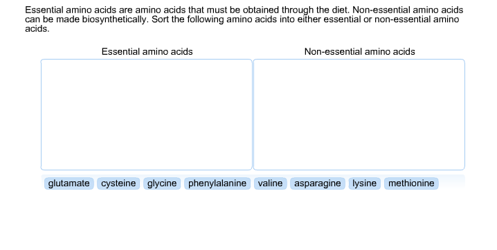 Solved Essential Amino Acids Are Amino Acids That Must Be Chegg Com