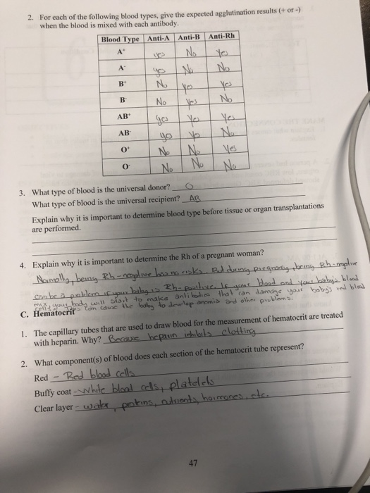 2 For Each Of The Following Blood Types Give The Chegg Com