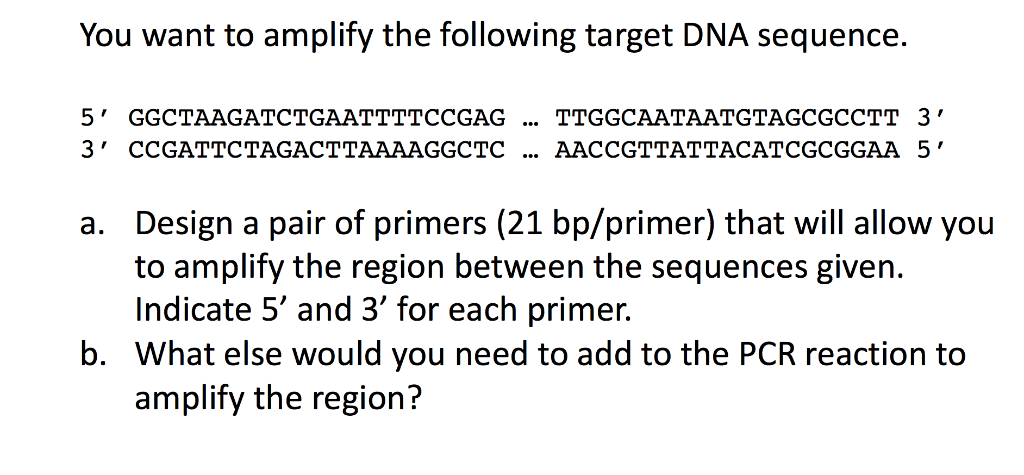 Amplify answer key grade 7 picture