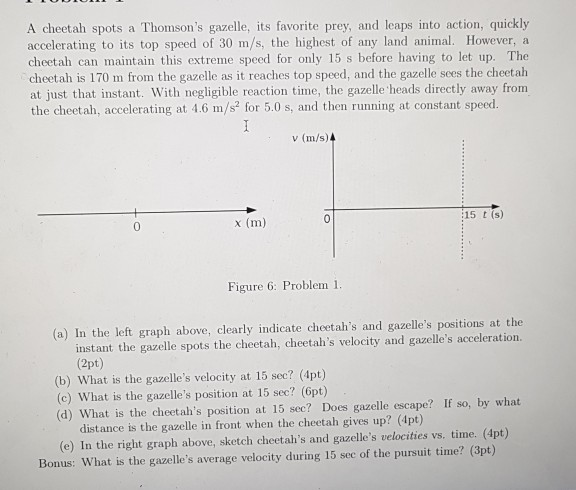 A Cheetah Spots A Thomson S Gazelle Its Favorite Chegg A Cheetah Spots A Thomson S Gazelle Its Favorite Chegg