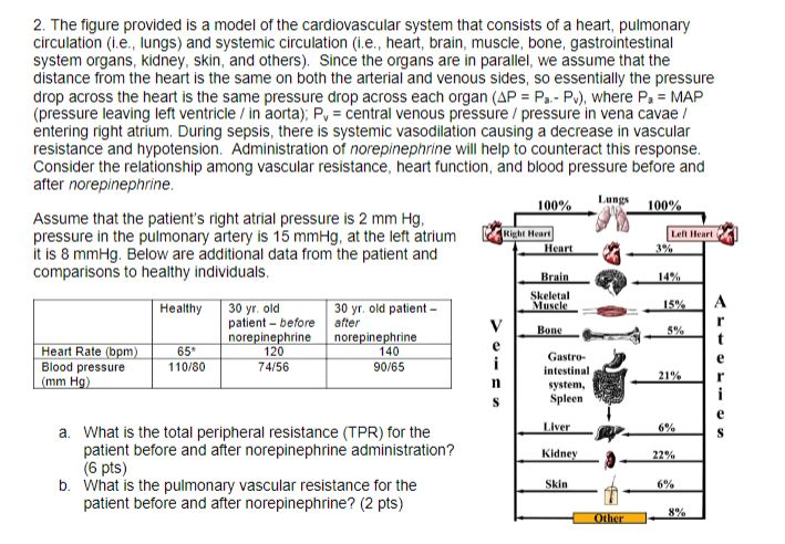 Solved 2 The Figure Provided Is A Model Of The Cardiovas Chegg Com