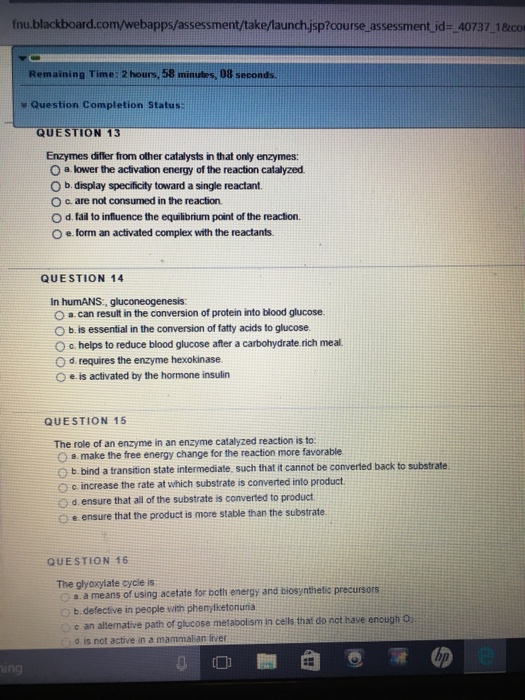 Essay 4324 06 picture