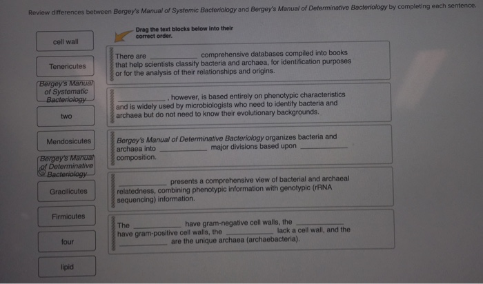 Bergey manual of systematic bacteriology flowchart free