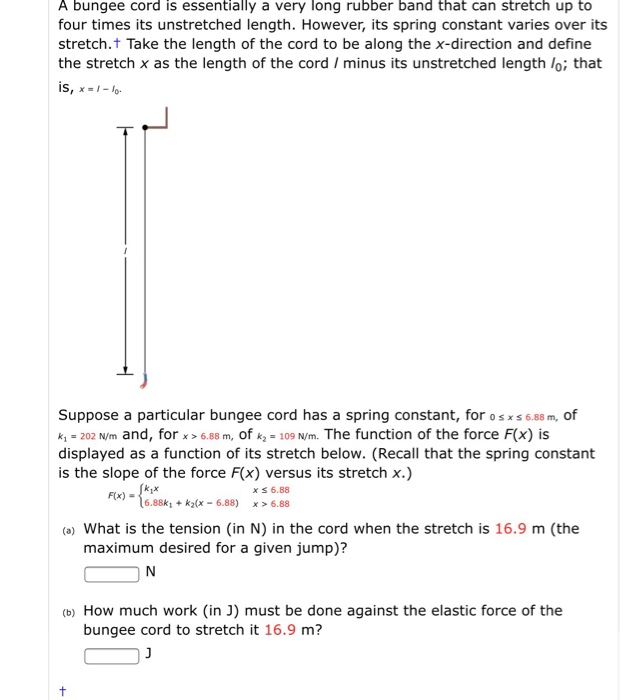 bungee cord definition