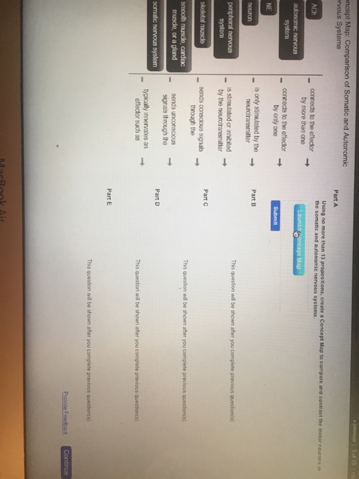 solver connect 4 Map: Autonomic Concept N Solved: Comparison Of Somatic And