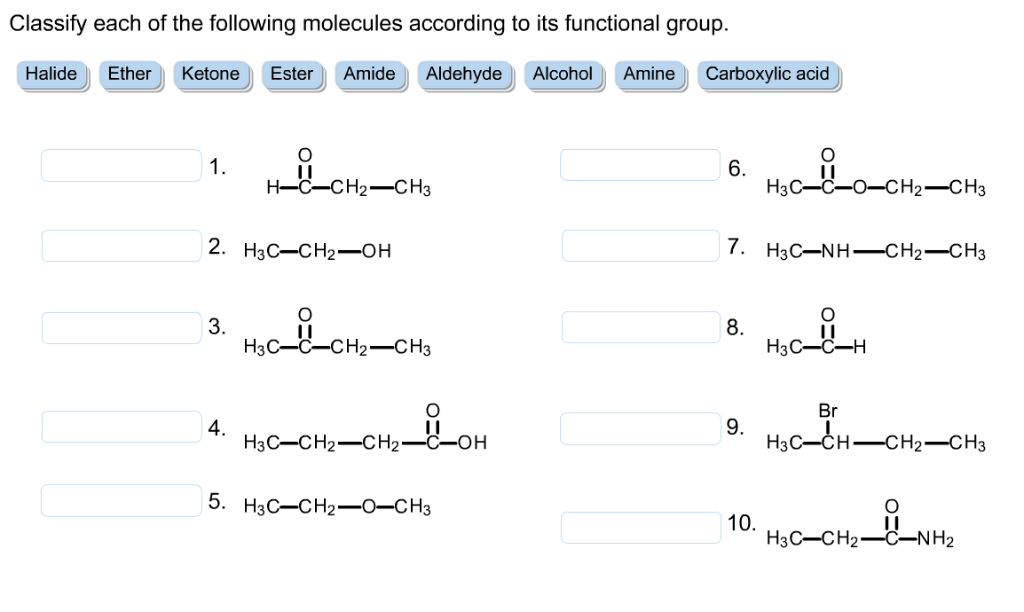 Solved Classify Each Of The Following Molecules According Chegg Com