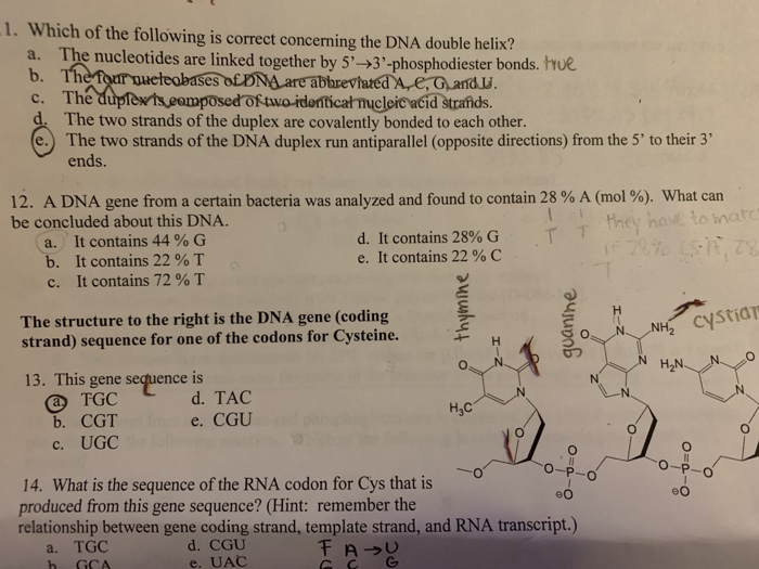 Solved 1 Which Of The Following Is Correct Concerning Th Chegg Com