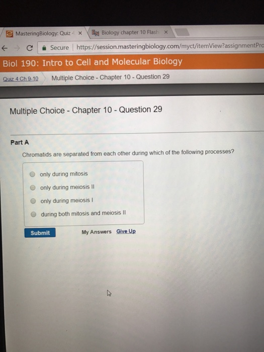 Video Tutor Session Quiz Mitosis Vs Meiosis Blog Lif Co Id