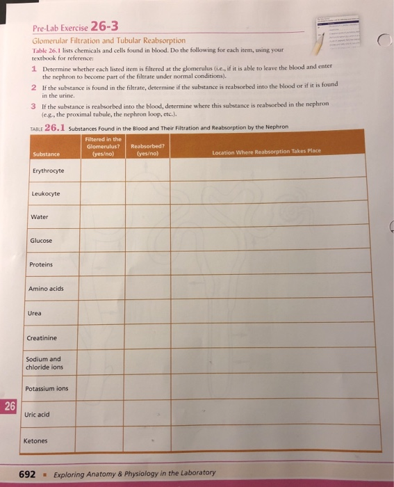 Solved Pre Lab Exercise 26 3 Glomerular Filtration And Tu Chegg Com