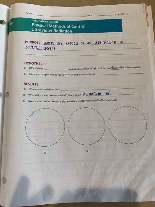 Solved Lab Section Name Date Laboratory Report Physical Chegg Com