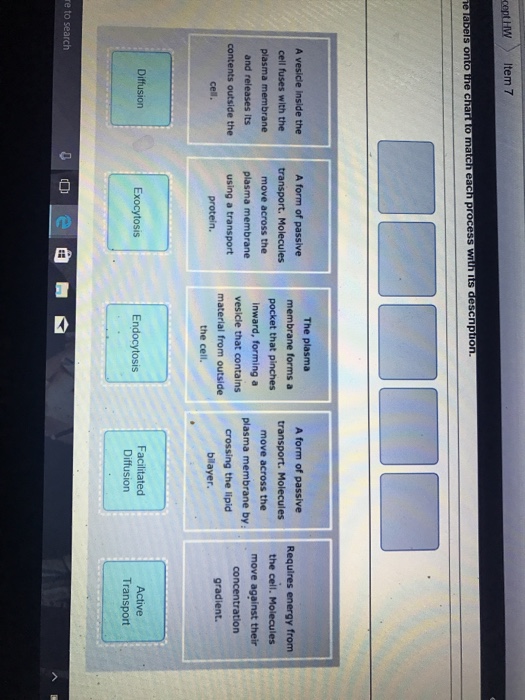 Membrane Transport Active Transport Mastering Biology