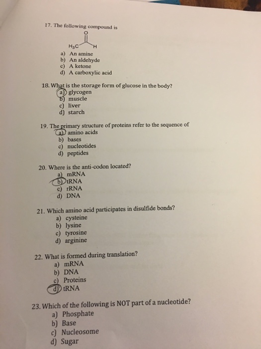 Solved The Following Compound Is A) An Amine B) An | Chegg.com