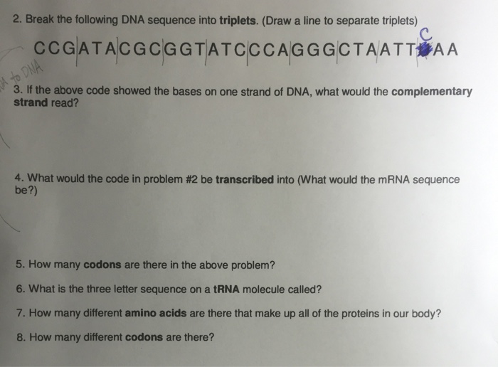 Solved Break The Following Dna Sequence Into Triplets D Chegg Com