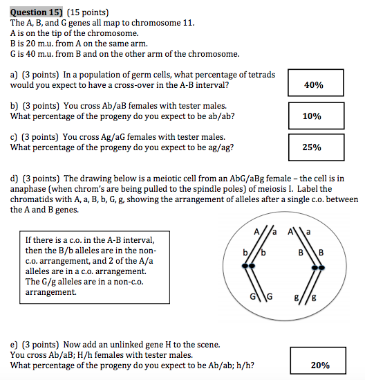 Question 15 15 Points The A B And G Genes All Chegg Com