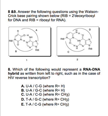 8 9 answer the following questions