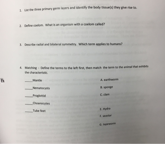 Solved 1 List The Three Primary Germ Layers And Identify Chegg Com
