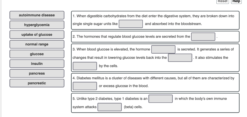 Solved Reset Help Autoimmune Disease 1 When Digestible Chegg Com