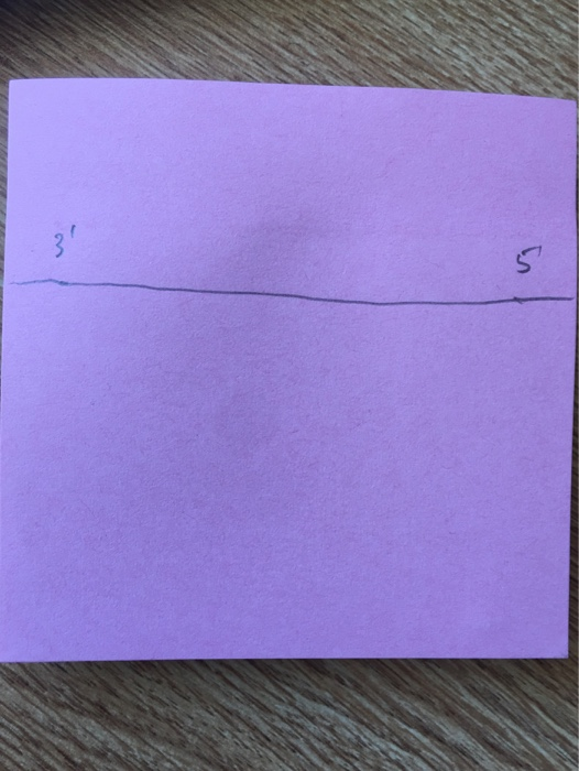 3 S