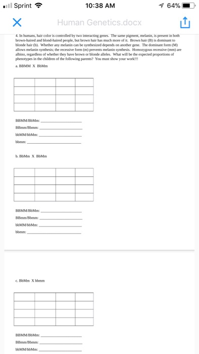 Solved 11 Sprint 10 38 Am 64 Human Genetics Docx 4 In