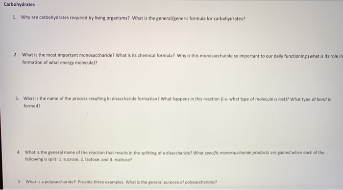 what is the most important monosaccharide
