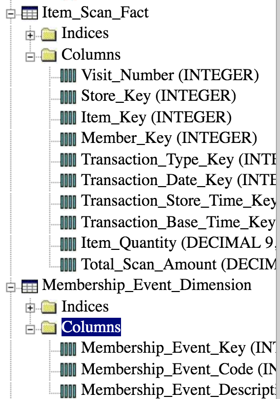 Item -Scan-Fact B- Indices 曰枷Columns 白 I0lI Visit Number (INTEGER) IIIl Store_Key (INTEGER) Item-Key (INTEGER) IlI Member_Key