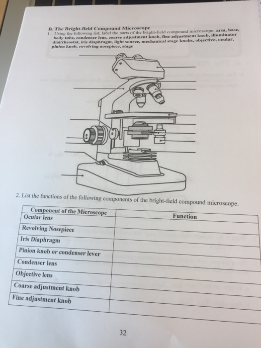 Solved B The Bright Field Compound Mieroscope Using The Chegg Com