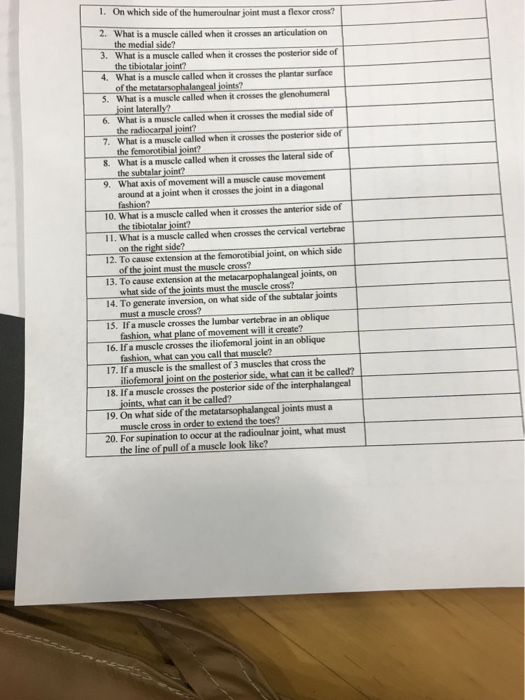 Solved 1 On Which Side Of The Humeroulnar Joint Must A F Chegg Com