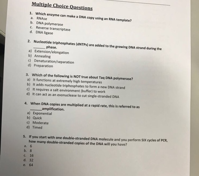 Solved Multiple Choice Questions 1 Which Enzyme Can Make A Chegg Com