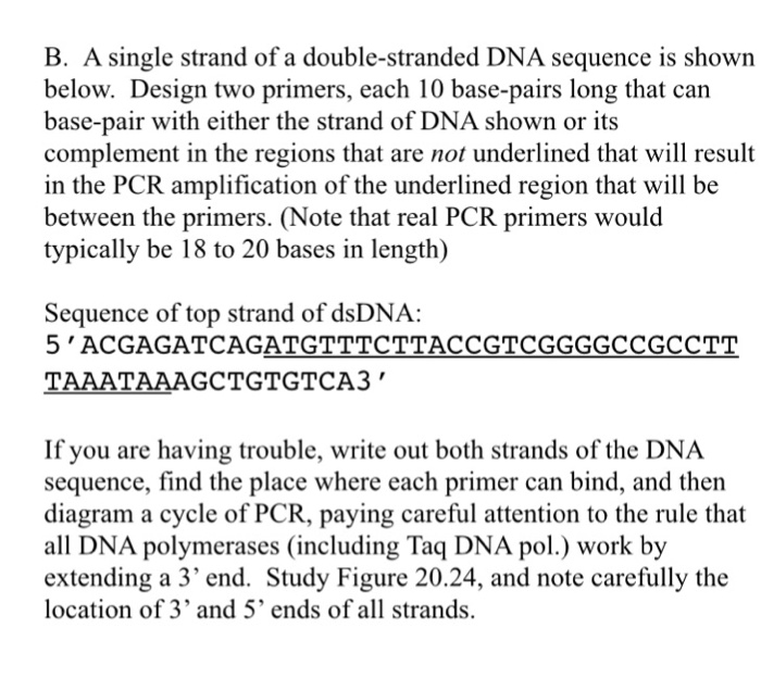 Solved A Single Strand Of A Double Stranded Dna Sequence Chegg Com